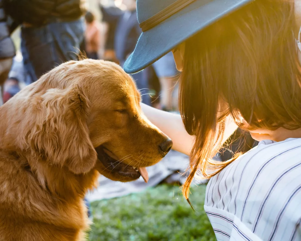 How to Tell If Your Pet Is Happy, Healthy, and Well Cared For