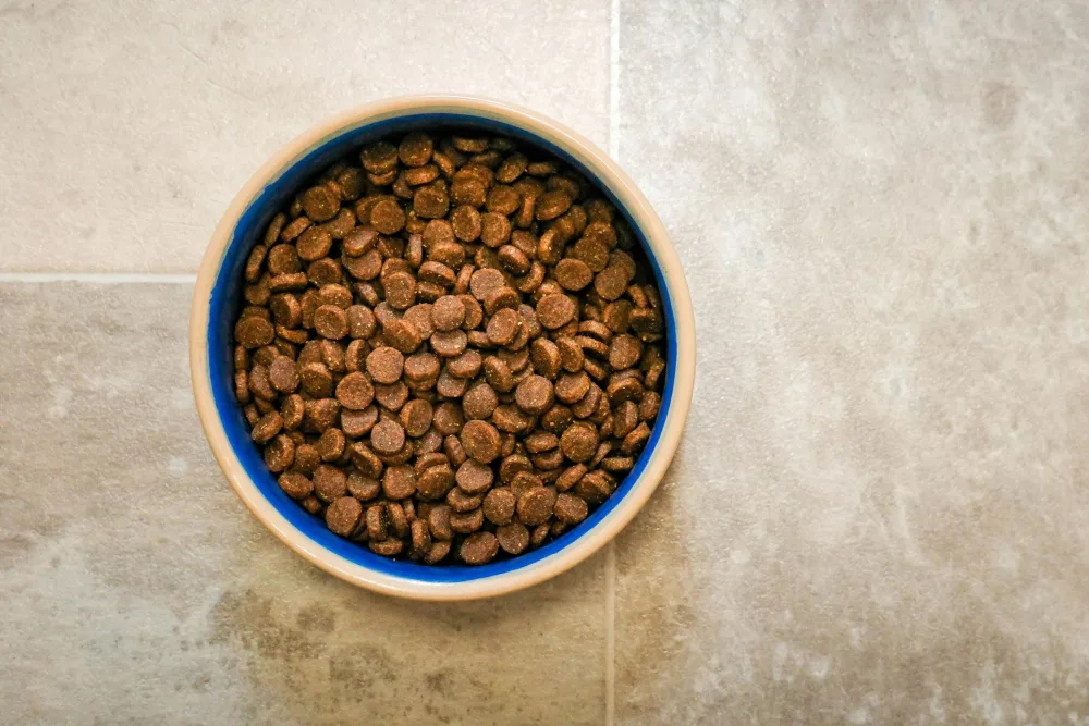 Understanding the Difference Between Homemade and Packaged Pet Food