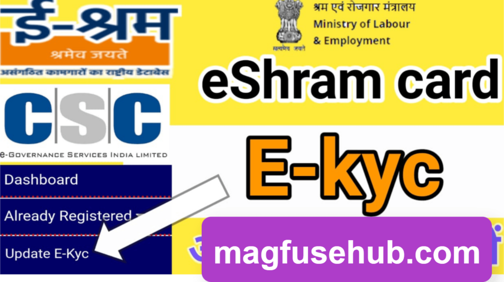 e shram card benefits